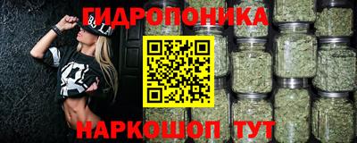 мдпв Тверь
