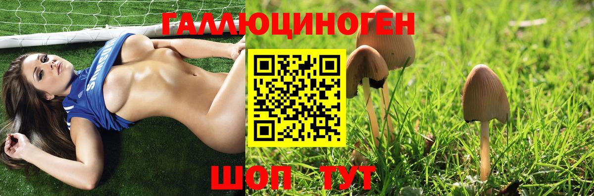 Псилоцибиновые грибы Magic Shrooms  Псилоцибиновые грибы ЛСД  Туапсе  Вход с VPN 